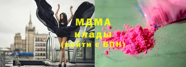 шишки Белоозёрский