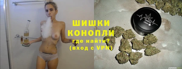 шишки Белоозёрский