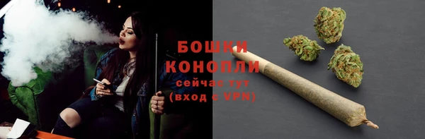 мет Белокуриха