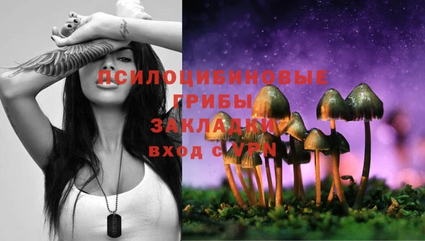 шишки Белоозёрский