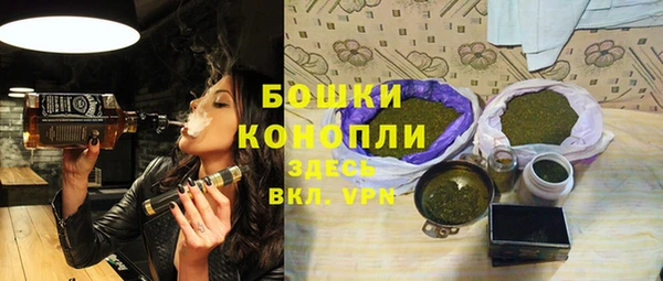 шишки Белоозёрский