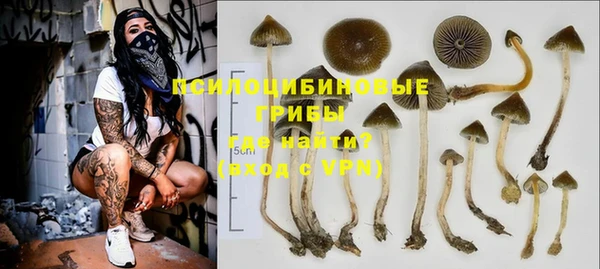 шишки Белоозёрский